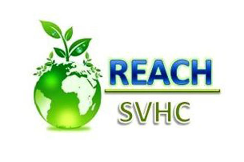 �W��REACH�J�C���